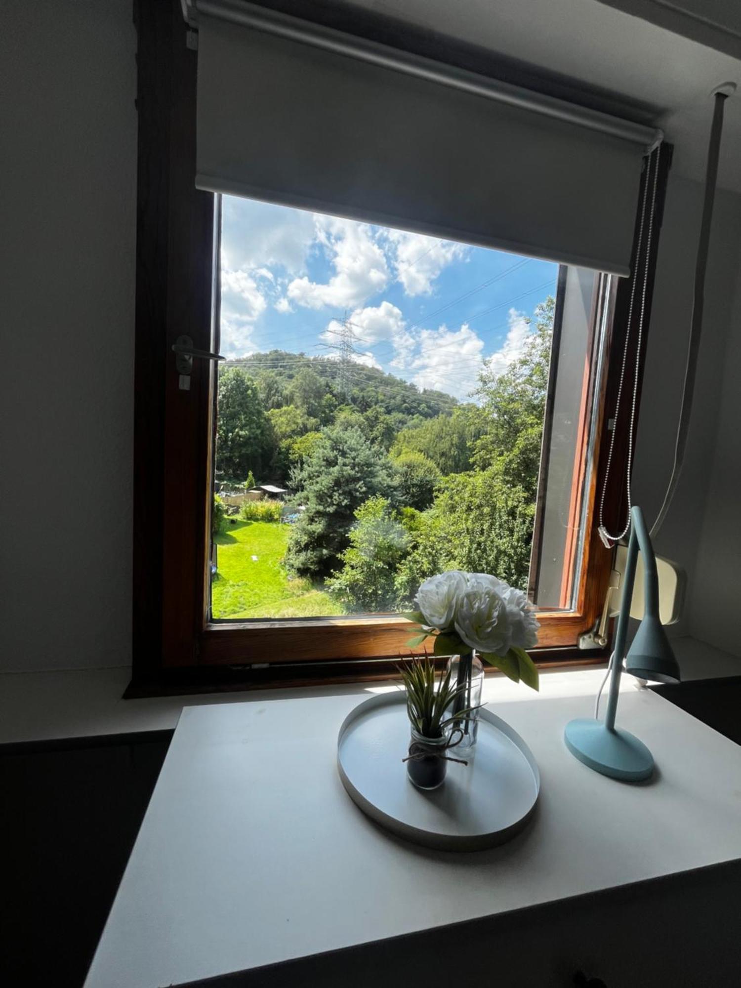 Appartement Idyllisch Wohnen An Der Ruhr à Hattingen Extérieur photo